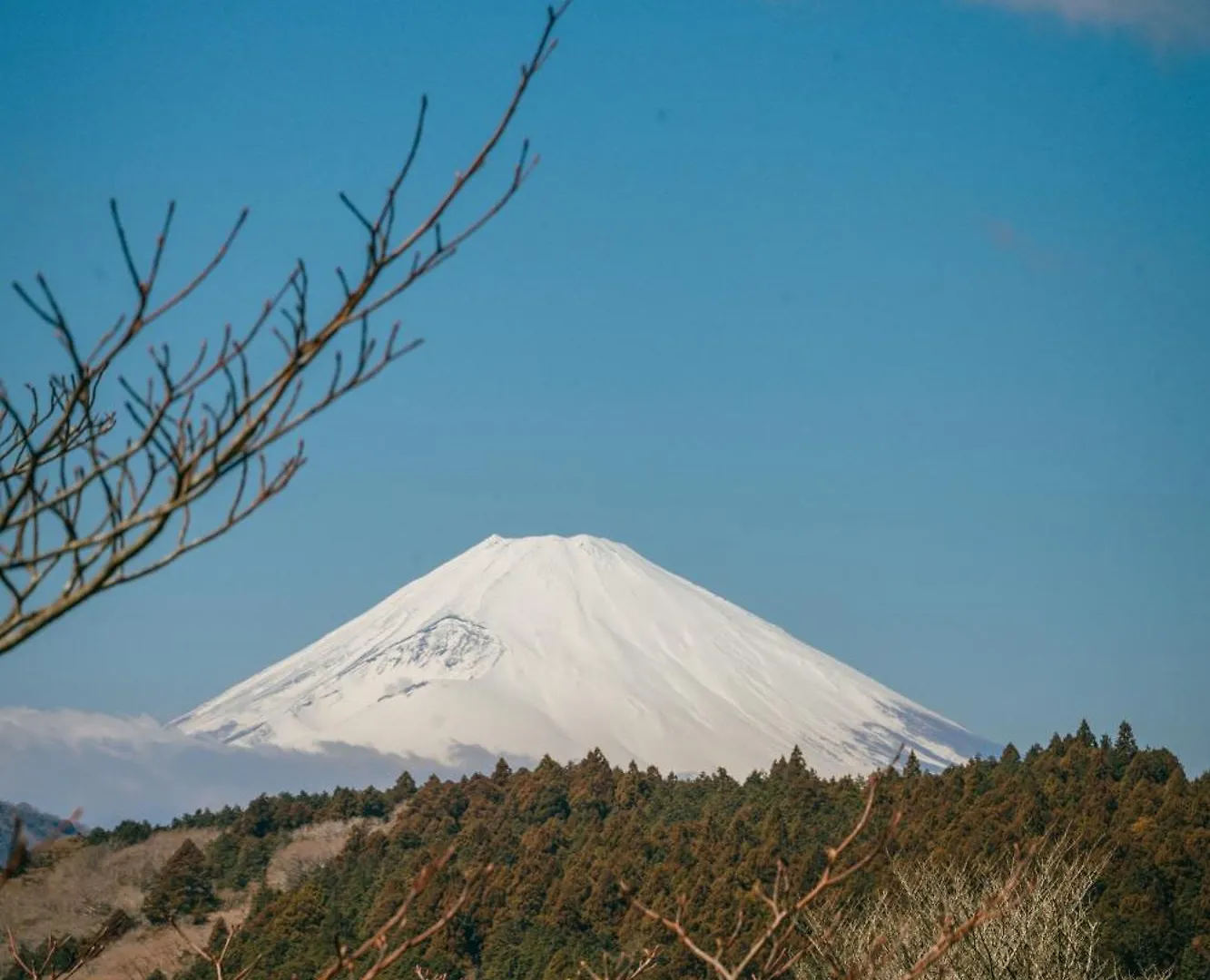 Villa 富士山の眺望- 超高6メートルロフト- 芦ノ湖, 鳥居が目の前に - 究極露天bbq à Hakone